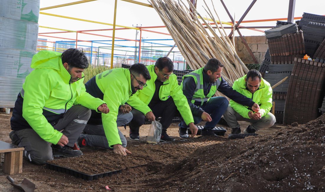  Diyarbakır Büyükşehir Belediyesi, kentteki tarımsal üretimi yerel tohumlar üzerinden