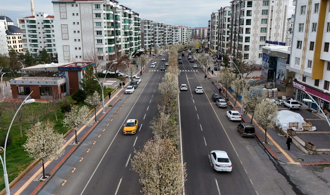 Diyarbakır Büyükşehir Belediyesinin peyzaj düzenleme çalışmalarında yer verdiği, her mevsim