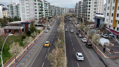 Diyarbakır Büyükşehir Belediyesinin peyzaj düzenleme çalışmalarında yer verdiği, her mevsim