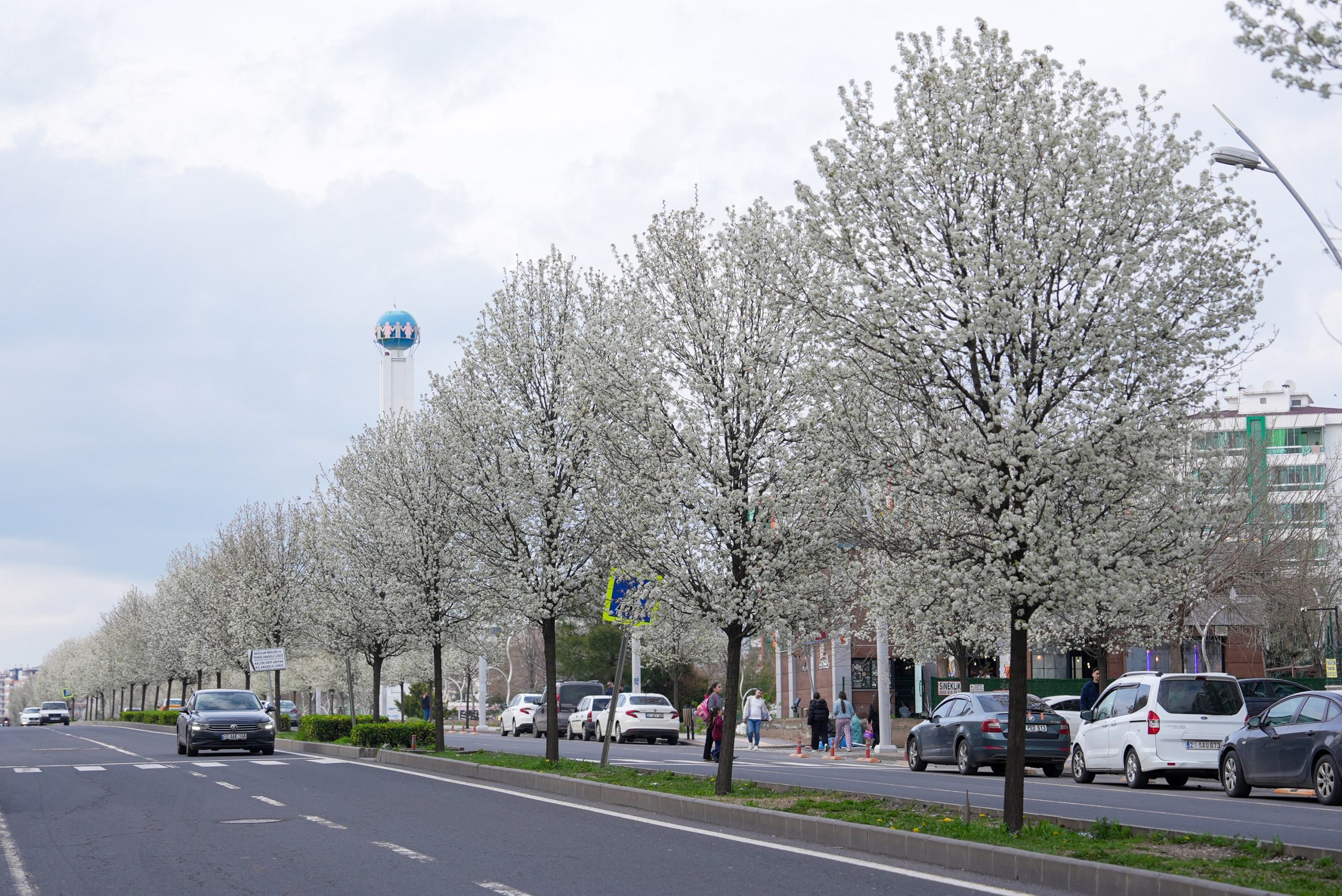 DSC00366.JPG.jpg 2994x2000 scaled