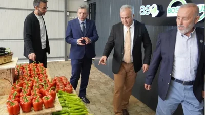 Almanya’ya gönderilen biberlerde güvenli limitin 35 katı pestisit tespit edilince