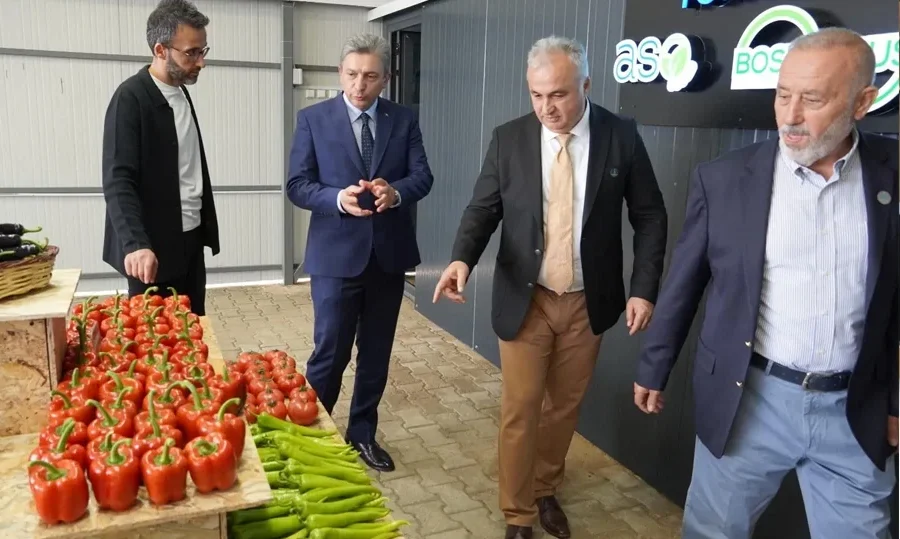 Almanya’ya gönderilen biberlerde güvenli limitin 35 katı pestisit tespit edilince