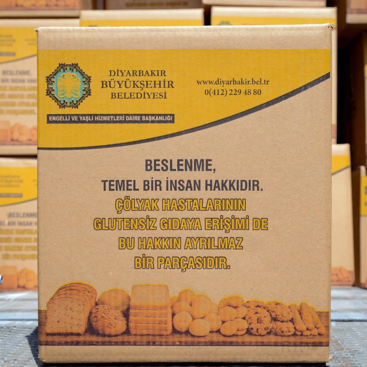 1 scaled e1775122318999