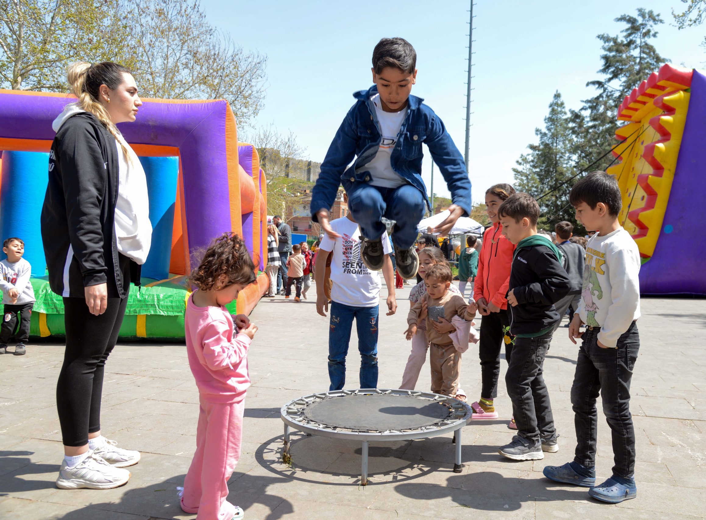 DSC 4834.JPG scaled e1776242450490