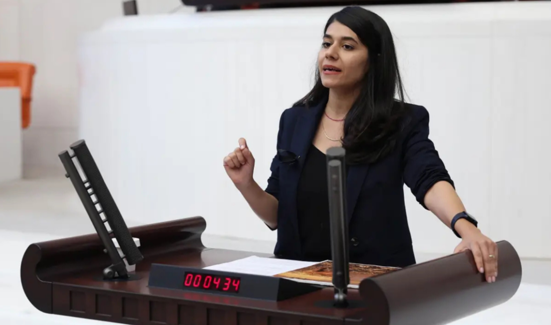 DEM Parti Milletvekili Beritan Güneş, okullarda artan şiddetin münferit değil,