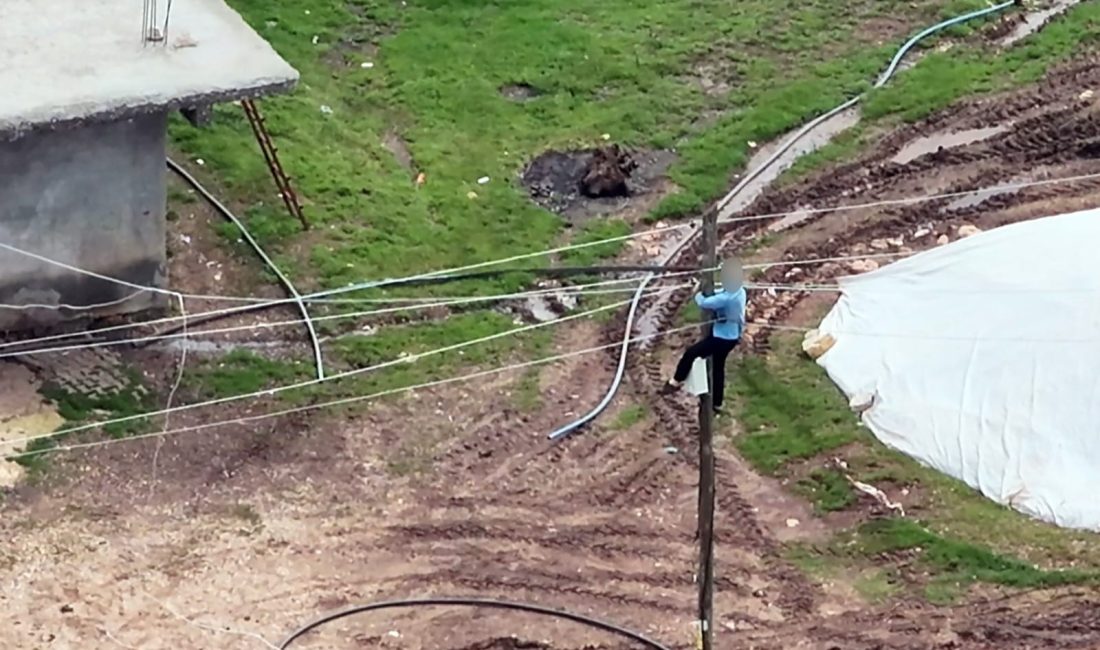 Dicle Elektrik, Diyarbakır’ın Hazro ilçesine bağlı Sarıerik Mahallesi’nde bir konut
