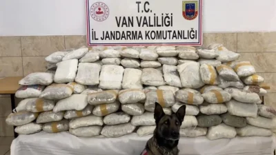Van ve Hakkari’de uyuşturucu madde imalatçılarına yönelik düzenlenen operasyonlarda 446