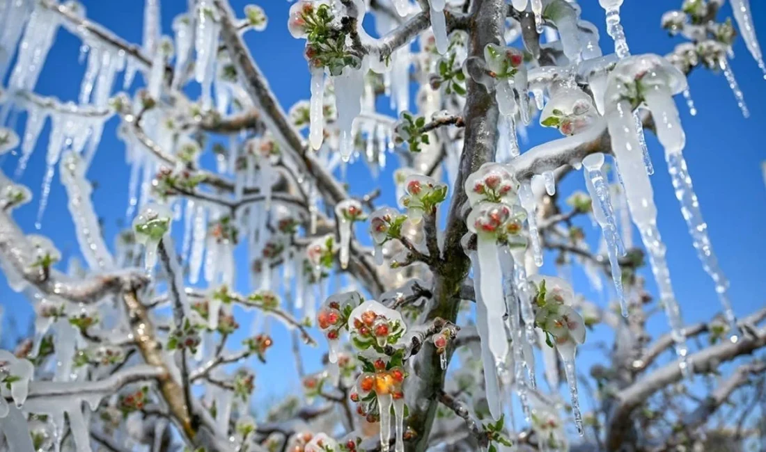 Meteoroloji Genel Müdürlüğü (MGM), Türkiye genelinde etkili olması beklenen soğuk