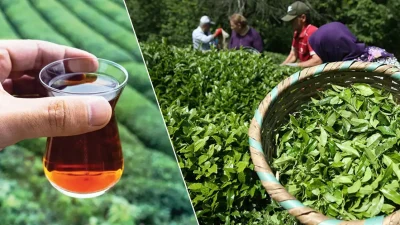 Türkiye'nin çay ihracatı yılın ilk çeyreğinde önemli bir ivme yakaladı.