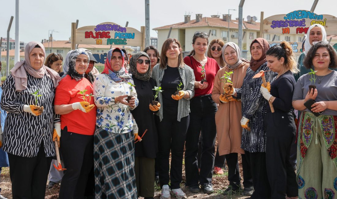 Diyarbakır Büyükşehir Belediyesinin hayata geçirdiği Kadın Komün Kent Bostanı’nda, Eşbaşkan