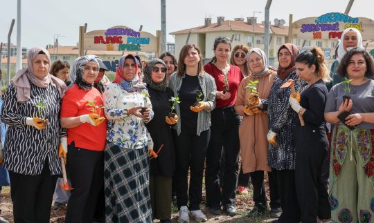 Diyarbakır Büyükşehir Belediyesinin hayata geçirdiği Kadın Komün Kent Bostanı’nda, Eşbaşkan