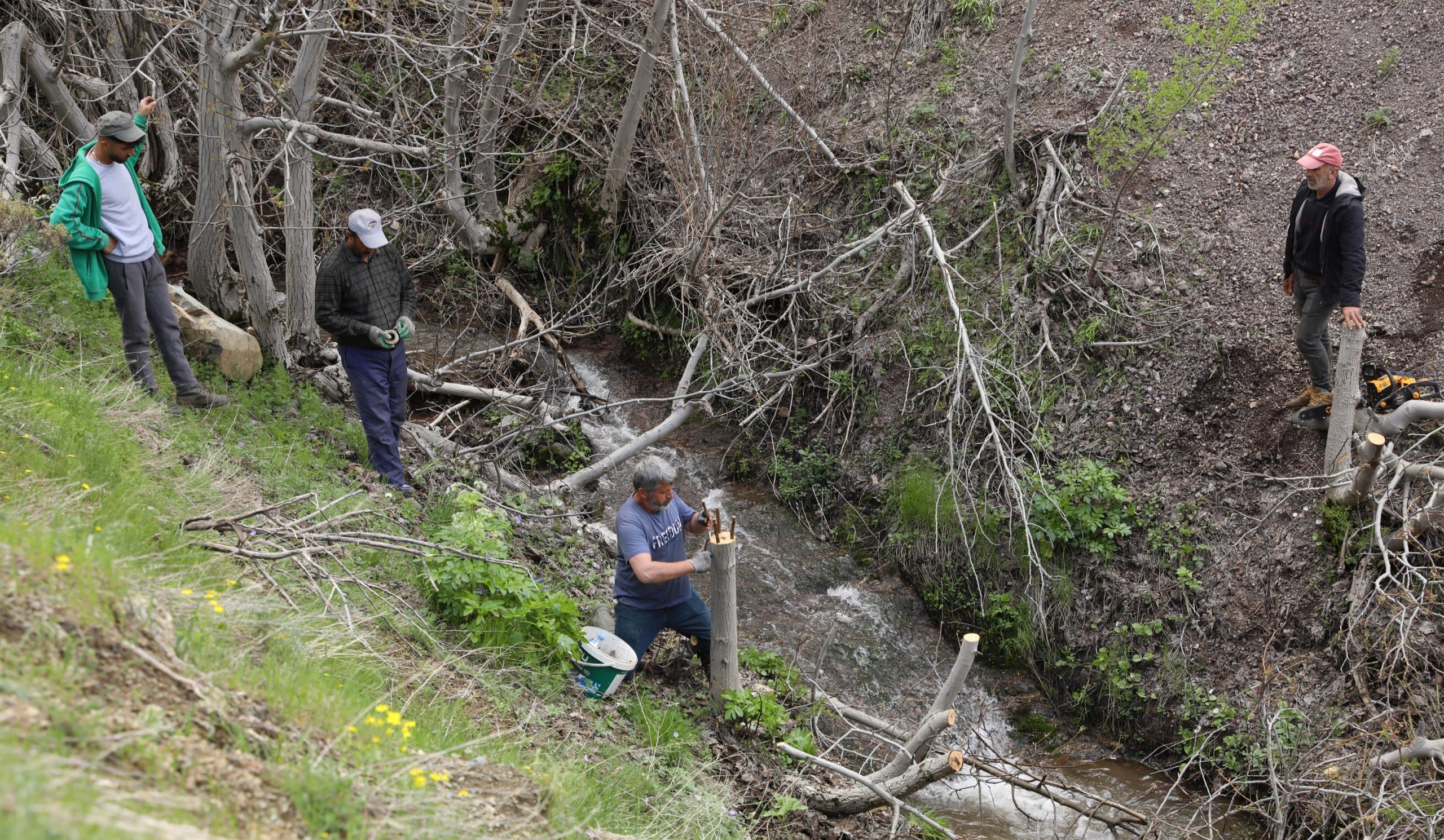7J9A0021 3000x2000 scaled e1778223872923