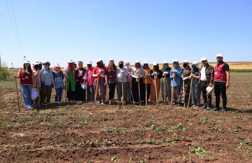Diyarbakır Büyükşehir Belediyesi ekipleri, Sur ilçesine bağlı Bozdemir Mahallesi’nde mevsimlik